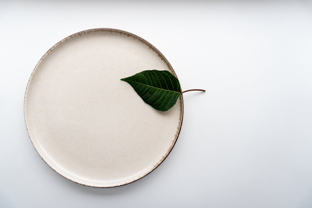 A minimalist ceramic plate accompanied by a single green leaf on a white background.